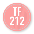 Firechems TF 212